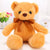 Small Bear Plush Bear Hug bBar Plush Plush Toy Panda Doll Bear Puppet Doll Girl - Enfance-Heureuse