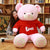 Plush toy ribbon teddy bear doll hugs bear dolls to give girls birthday gifts - Enfance-Heureuse