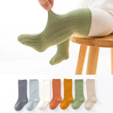 Double Needle Baby Knee Length Socks - Enfance-Heureuse