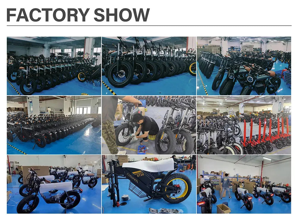 Coswheel Electric bike 3000W GT20 PRO Off Road Electric Motorcycle 48V 40AH Dual Motor Dual Battery Mountain bike Fat Tire Ebike - Enfance-Heureuse