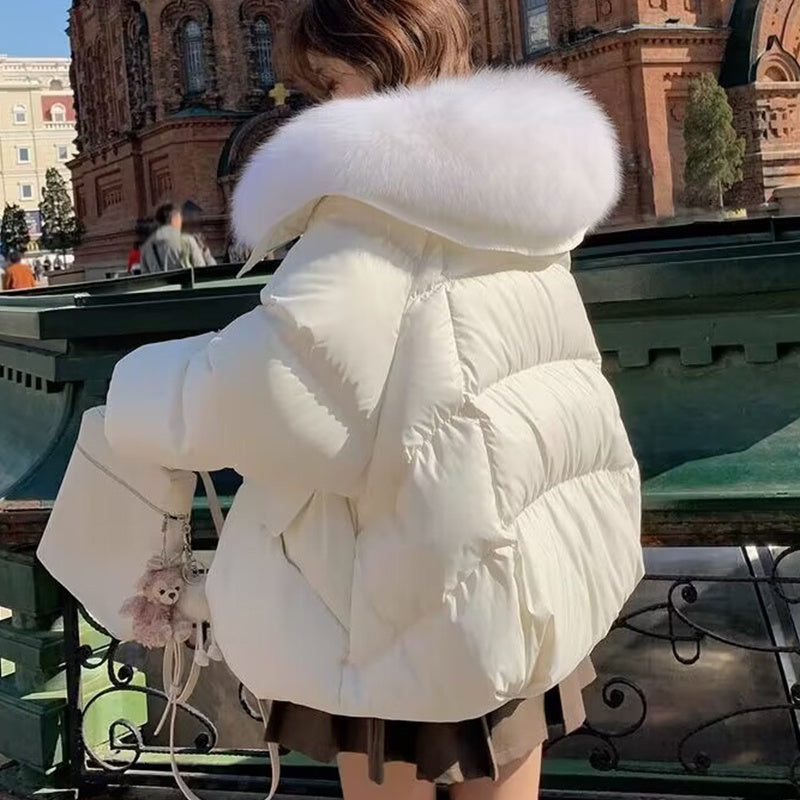 Down Cotton-padded Jacket Women's Short Fur Collar Thickened Coat Winter Clothing - Enfance-Heureuse